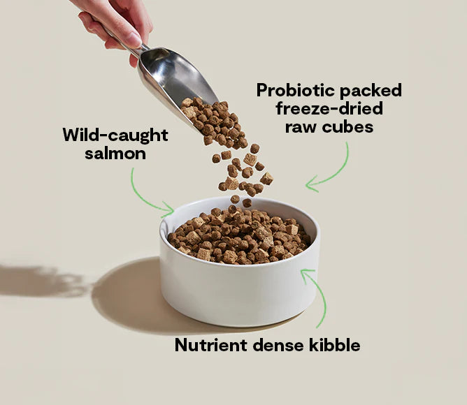 Rest Gut - Beef Dog Kibble
