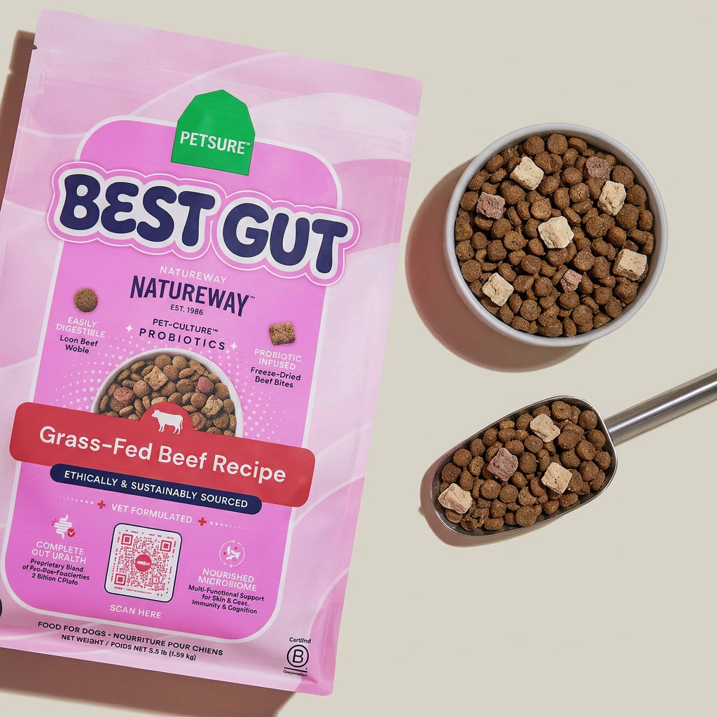 Rest Gut - Beef Dog Kibble