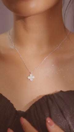 Video 3